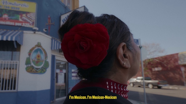 Video Reference: Flower, Sky, Hat, Travel, Cap, Eyewear, Petal, Electric blue, Rose, Magenta