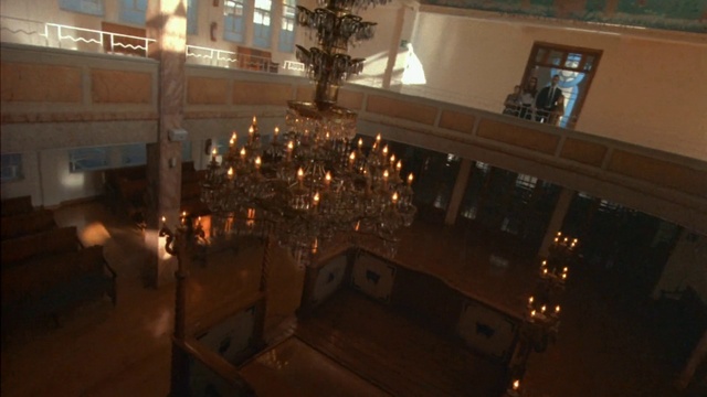 Video Reference: Window, Plant, Building, Lighting, Interior design, Tree, Wood, Ornament, Event, Flowerpot