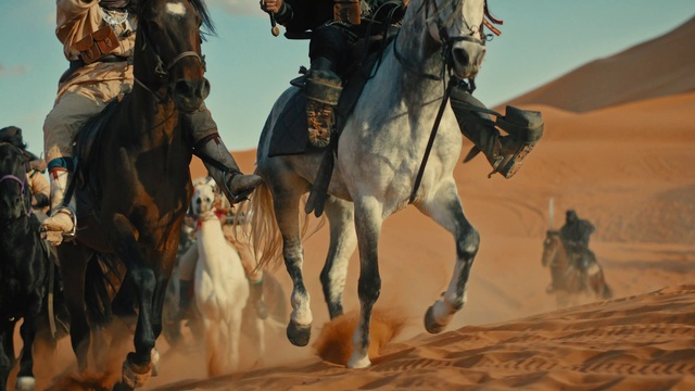 Video Reference: Vertebrate, Horse, Mammal, Working animal, Sky, Horse tack, Landscape, Bridle, Rein, Pack animal