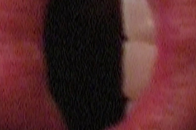 Video Reference: Eye, Human body, Tints and shades, Magenta, Snout, Tail, Fur, Pattern, Carmine, Electric blue