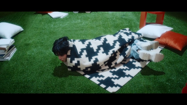 Video Reference: Grass, Creative arts, Rectangle, Companion dog, Flooring, Recreation, Pattern, Art, Dog breed, Leisure