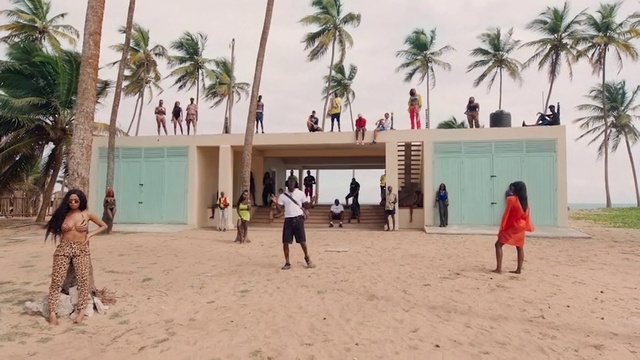 Video Reference: Property, Sky, Tree, Leisure, Arecales, Sand, Travel, Landscape, Adaptation, Summer