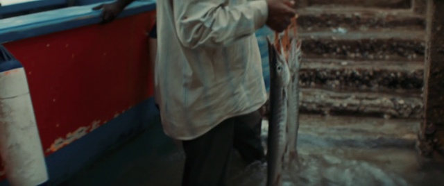 Video Reference: Sleeve, Gesture, Wood, Denim, Elbow, Vehicle door, Human leg, Soil, Darkness