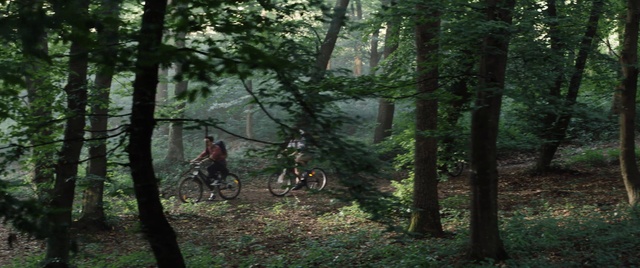 Video Reference: Bicycle, Tire, Wheel, Plant, Bicycle wheel, Tree, Bicycle frame, Wood, Terrestrial plant, Natural landscape