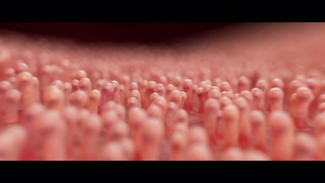 Video Reference: Hand, Gesture, Pink, Finger, Magenta, Wool, Font, Pattern, Woolen, Natural material