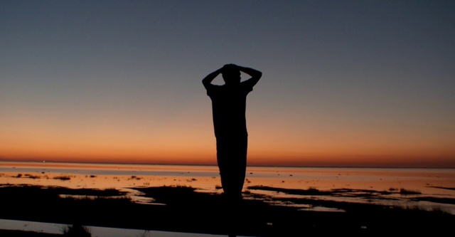 Video Reference: Water, Sky, People in nature, Beach, Gesture, Sunlight, Afterglow, Dusk, Happy, Sunset