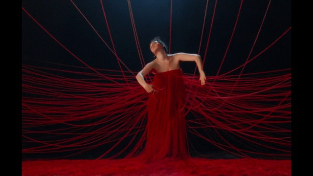 Video Reference: Flash photography, Red, Magenta, Entertainment, Art, Electric blue, Event, Symmetry, Performing arts, Fashion accessory
