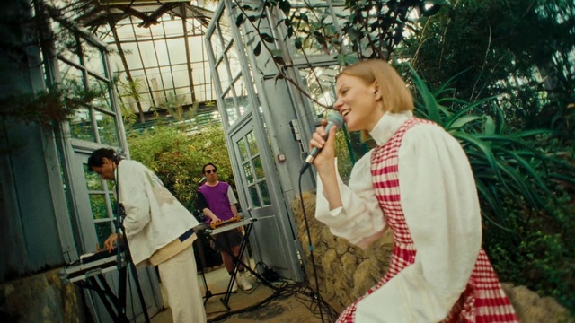 Video Reference: Microphone, Plant, Musician, Leisure, Chair, Musical instrument, Event, Tree, Music, Spring