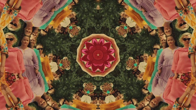 Video Reference: Plant, Flower, Botany, Textile, Organism, Art, Petal, Happy, Adaptation, Tree