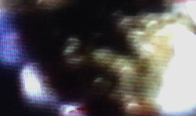 Video Reference: Gas, Tints and shades, Electric blue, Darkness, Event, Pattern, Fur, Tail