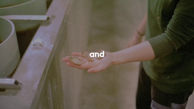 Video Reference: Hand, Human body, Sleeve, Dress, Gesture, Finger, Wood, Wrist, Bridal clothing, Nail