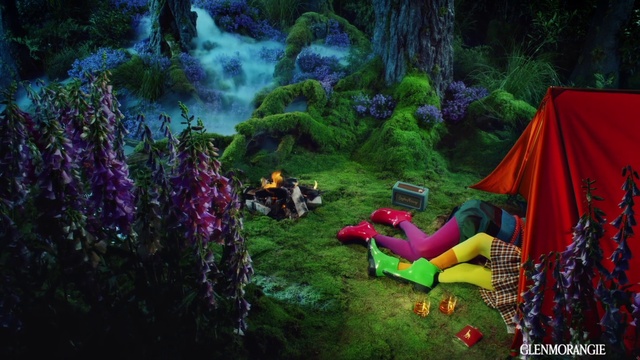 Video Reference: Plant, Ecoregion, Green, Purple, Natural landscape, Vegetation, Organism, Tree, Grass, Biome