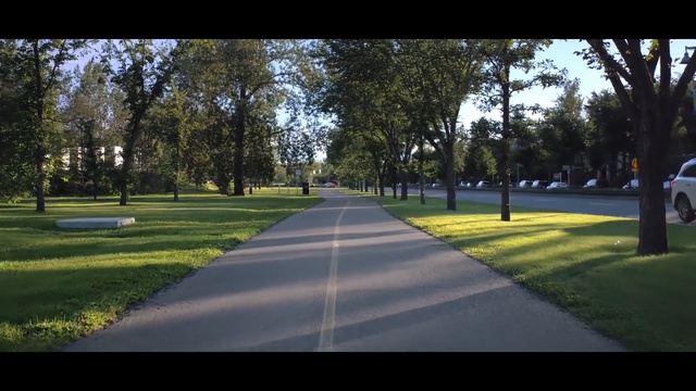 Video Reference: nature, tree, green, grass, plant, public space, infrastructure, lane, woody plant, path