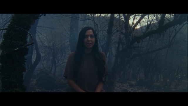 Video Reference: Black, Darkness, Atmospheric phenomenon, Natural environment, Beauty, Forest, Lady, Tree, Atmosphere, Screenshot, Person