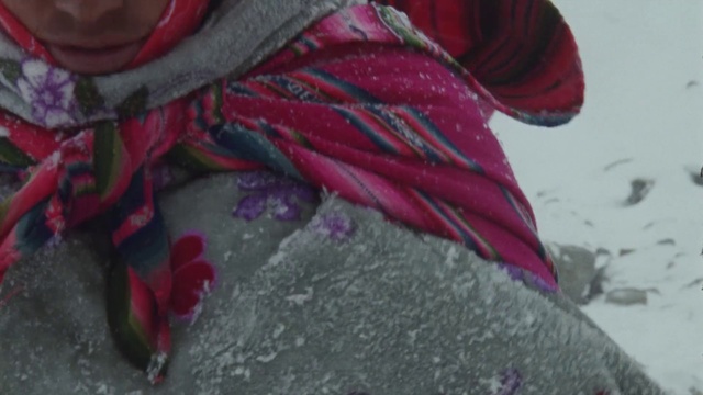 Video Reference: Red, Pink, Magenta, Textile, Wool, Plant, Art