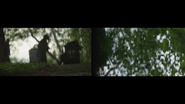 Video Reference: nature, green, tree, grass, darkness, woodland, forest, screenshot, biome, plant