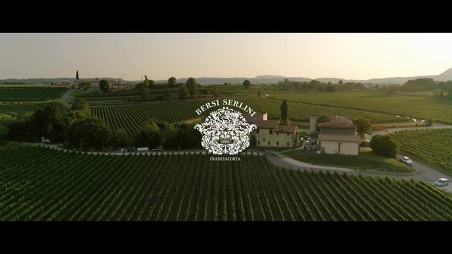 Video Reference: Farm, Land lot, Rural area, Field, Aerial photography, Grass, Landscape, Photography, Crop, Plain