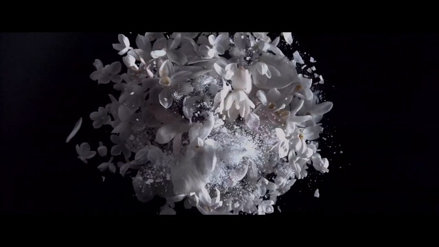 Video Reference: Crystal, Organism, Mineral, Flower, Bouquet, Plant, Still life photography, Fashion accessory, Black-and-white, Petal