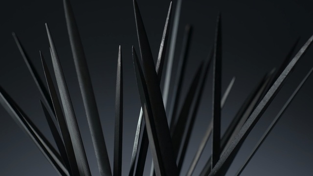 Video Reference: Black, Line, Close-up, Still life photography, Grass, Plant, Photography, Agave, Black-and-white, Monochrome