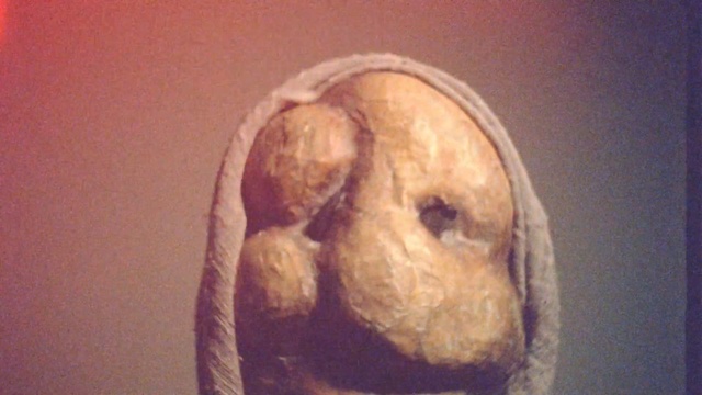 Video Reference: nose, jaw, close up, organism, organ, human, art, ear