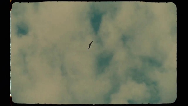 Video Reference: Sky, Nature, Cloud, Daytime, Atmosphere, Atmospheric phenomenon, Wing, Cumulus, Meteorological phenomenon, Photography