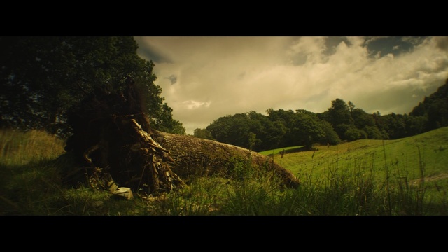 Video Reference: sky, green, nature, mountainous landforms, tree, woody plant, hill, grass, cloud, vegetation