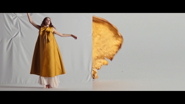 Video Reference: clothing, yellow, dress, outerwear, costume design, computer wallpaper, fashion design, gown