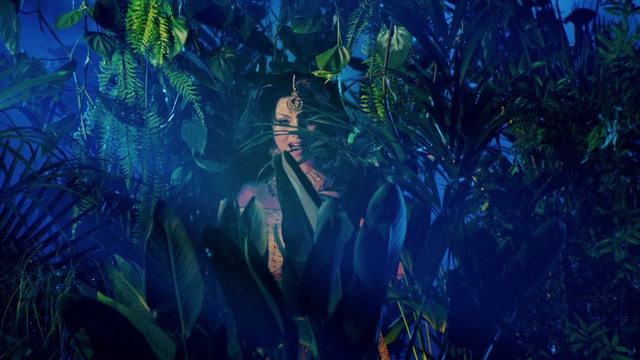 Video Reference: Blue, Green, Organism, Water, Tree, Seaweed, Night, Underwater, Plant, Macrocystis