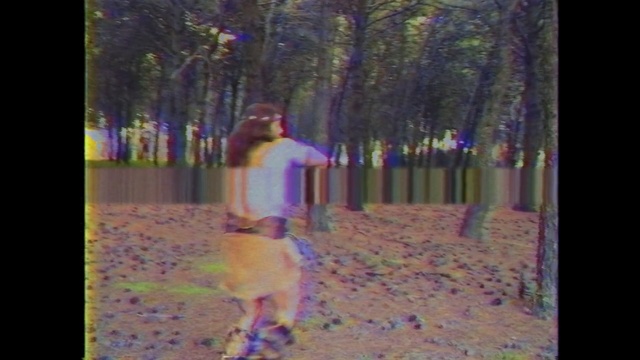Video Reference: Nature, Photograph, Purple, Woodland, Natural environment, Tree, Forest, Violet, Lavender, Beauty, Person