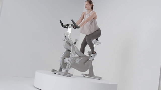 Video Reference: Figurine, Exercise machine, Exercise equipment, Elliptical trainer, Sculpture, Statue, Physical fitness