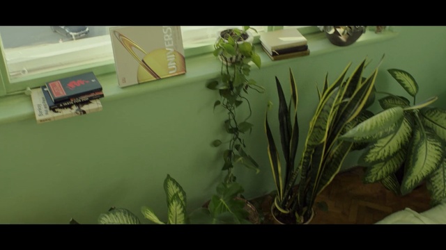 Video Reference: plant, green, flora, leaf, grass, tree, grass family, plant stem, herb, screenshot, Person