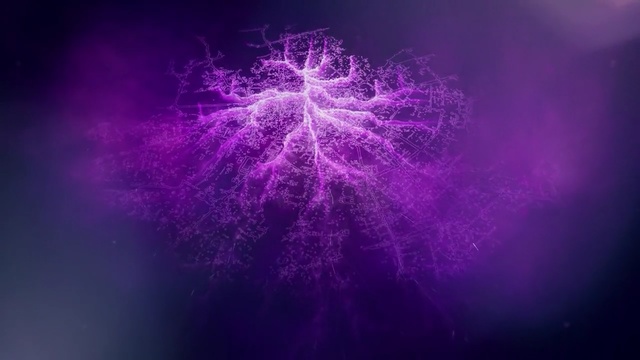 Video Reference: purple, violet, sky, fractal art, atmosphere, computer wallpaper, macro photography, darkness, space, magenta, Person