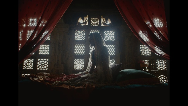Video Reference: Darkness, Organism, Photography, Room, Window, Tints and shades, Art