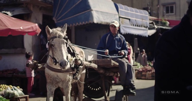 Video Reference: Horse, Horse harness, Carriage, Horse and buggy, Pack animal, Mode of transport, Horse tack, Rein, Vehicle, Wagon