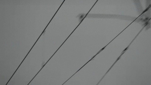 Video Reference: white, black, black and white, monochrome photography, structure, wood, monochrome, line, angle, sky