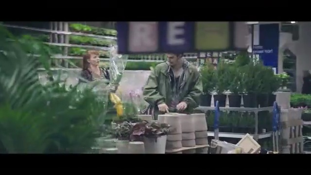 Video Reference: plant, tree, grass, houseplant