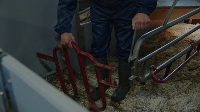 Video Reference: Leg, Human leg