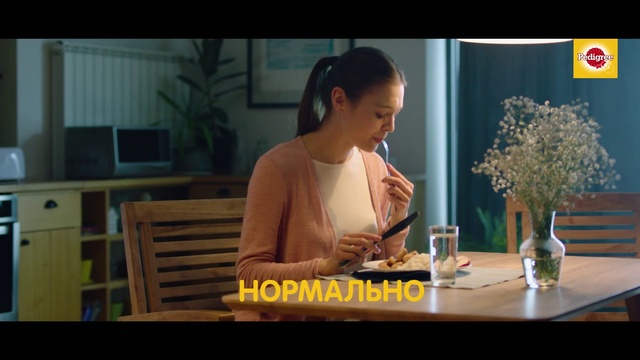 Video Reference: Adaptation, Sitting, Conversation, Photo caption, Photography, Screenshot