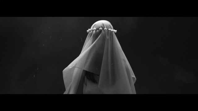 Video Reference: white, black, black and white, monochrome photography, dress, darkness, photography, monochrome, still life photography, hand