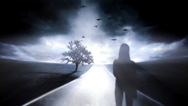 Video Reference: Sky, Darkness, Atmosphere, Light, Cloud, Atmospheric phenomenon, Tree, Water, Black-and-white, Photography