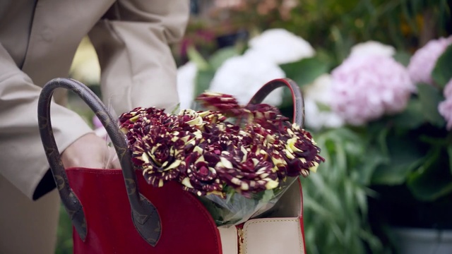 Video Reference: Flower, Plant, Floral design, Cut flowers, Footwear, Flowering plant, Spring, Flower Arranging, Bouquet, Floristry