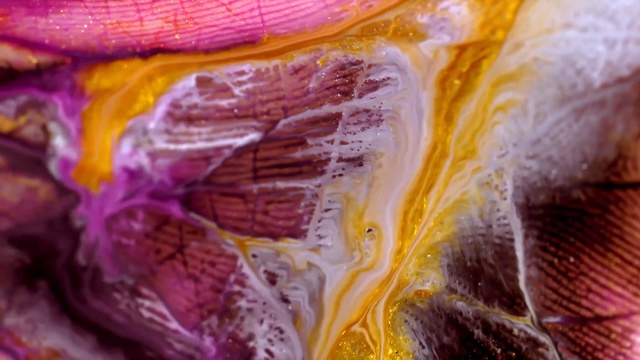 Video Reference: Purple, Close-up, Muscle, Organism, Textile, Red cabbage, Flesh, Macro photography, Human anatomy, Art