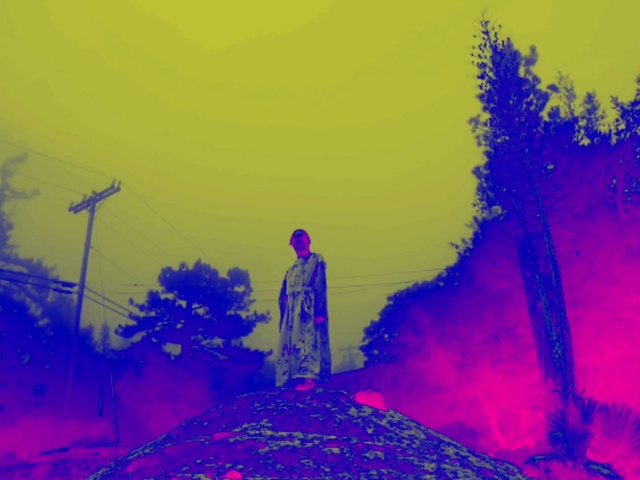 Video Reference: Blue, Sky, Purple, Atmosphere, Tree, Geological phenomenon, Plant, World, Colorfulness, Person