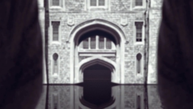 Video Reference: arch, black and white, building, monochrome photography, facade, abbey, arcade, window, place of worship, Person