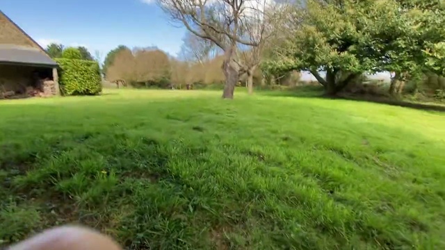 Video Reference: Lawn, Land lot, Nature, Grassland, Pasture, Grass, Meadow, Natural environment, Yard, Property