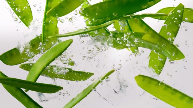 Video Reference: Green, Plant, Leaf, Snap pea, Green bean, Plant stem, Flower
