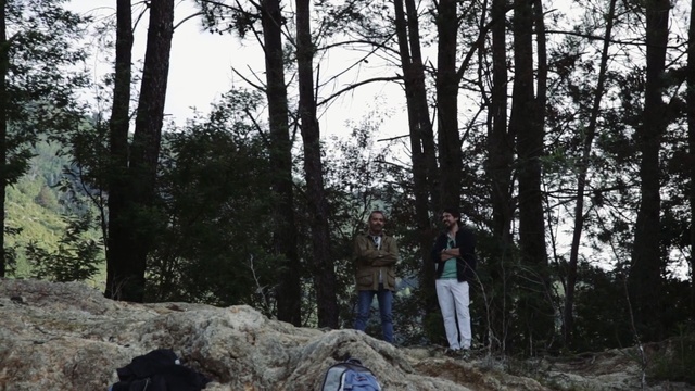 Video Reference: Tree, Forest, Wilderness, Natural environment, Old-growth forest, Woody plant, Biome, Woodland, Plant, Branch, Person