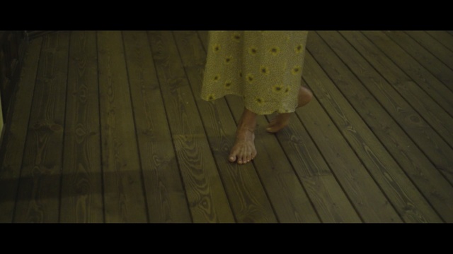 Video Reference: green, yellow, photograph, ecosystem, wood, light, dress, snapshot, floor, darkness
