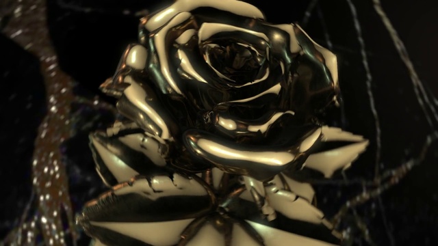 Video Reference: Rose, Close-up, Garden roses, Rose family, Plant, Flower, Still life photography, Photography, Petal, Rose order