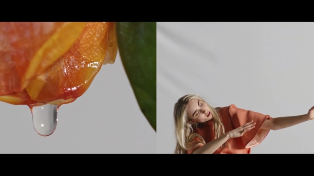 Video Reference: yellow, orange, mouth, flower, petal, still life photography, Person